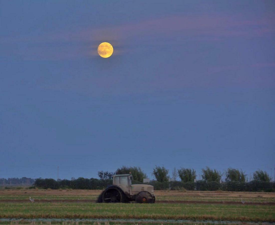 L' Espiga - Casa Rural デルテブレ エクステリア 写真